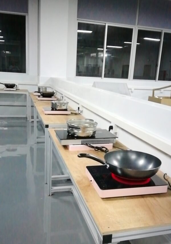 220V New Product Prestige Visual/Open Flame Induction Cooktop - Image 10